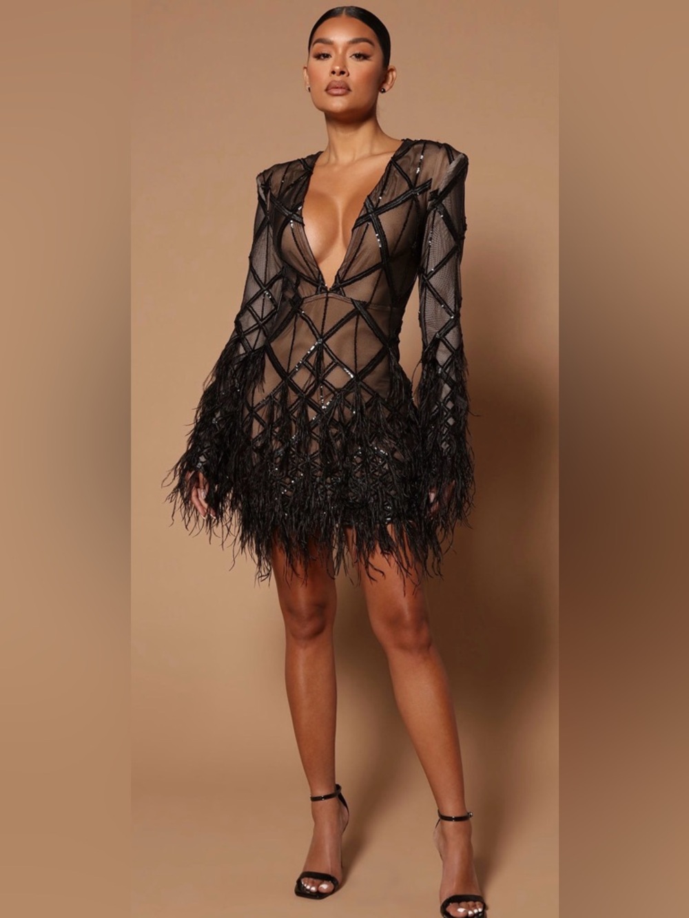 Fashion Nova Black Sheer Mini Dress with Feather Trim *NEVER WORN*